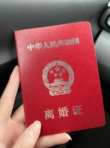 双方在协议离婚过程中，因房产分割无法达成一致。可以起诉离婚吗